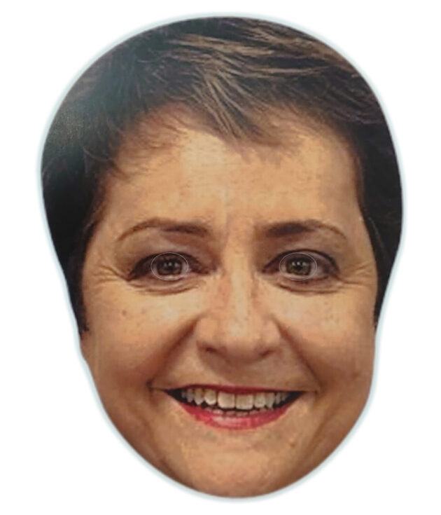 Helen Facemask